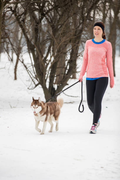 jeune femme marchant avec chien après avoir exécuté - snow dog walking running photos et images de collection