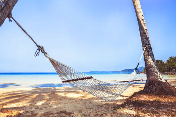 istock hammock on paradise beach, holidays travel 874394404