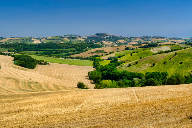 istock Summer landscape near Monterubbiano (Fermo, Marches) 874394732