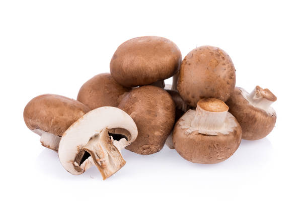 istock Mushroom champignon isolated on white background 874398602