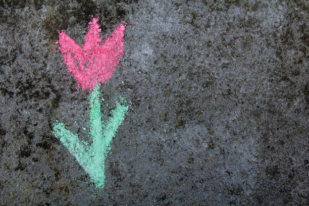 istock chalk drawing on asphalt: colorful tulips 874399700