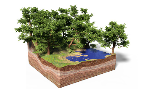 cross section of ground with lake, forest and beach, idyllic nature with trees cube concept (3d illustration, isolated with shadow on white background)