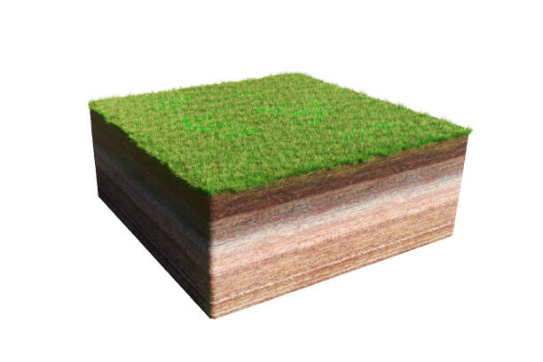 istock model of a cross section of ground with grass (3d illustration, isolated on white background) 874403322