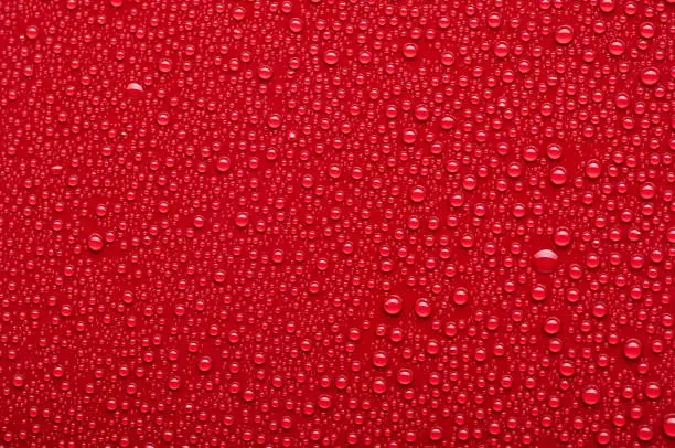 Photo of Water drops on a red background