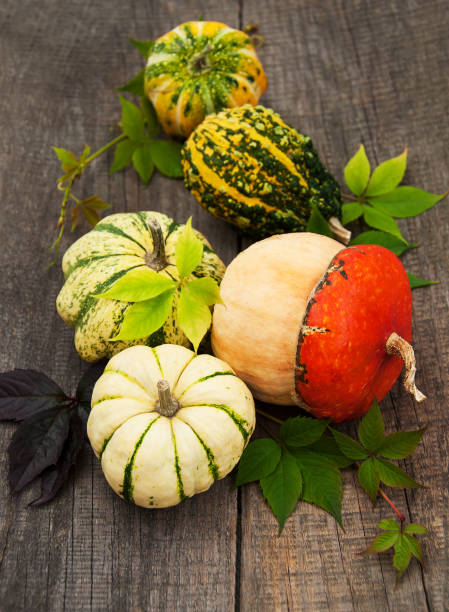 istock Pumpkins with autumn leaves 874406052