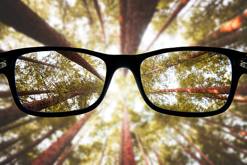 Some glasses ocusing a beautiful forest
