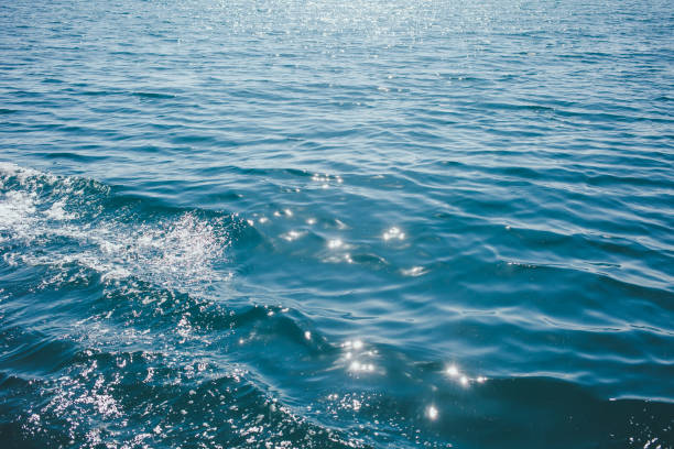 istock Texture blue ripples water in sea ocean for background. 874411592