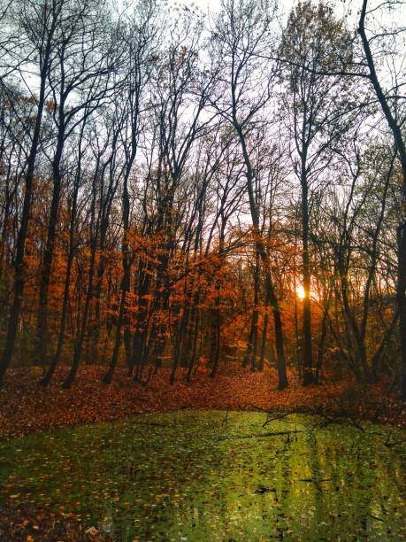 istock Autumn season 874413424
