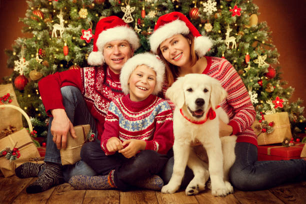 Christmas Family with White Dog Puppy, Happy Father Mother and Child Holiday Portrait in santa hat and sweaters under Xmas Tree Christmas Family with Dog, Happy Father Mother Child Portrait under Xmas Tree christmas sweater photos stock pictures, royalty-free photos & images