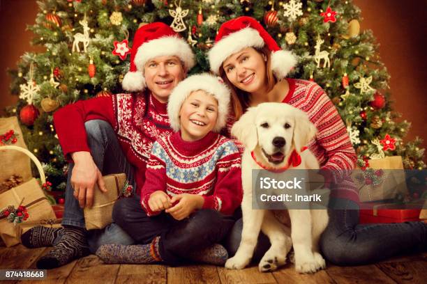 Christmas Family With White Dog Puppy Happy Father Mother And Child Holiday Portrait In Santa Hat And Sweaters Under Xmas Tree Stock Photo - Download Image Now