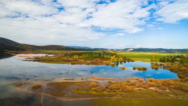 Photo of Aerial drone view of amazing autumn colors on the lake. Cerknisko lake, Slovenia