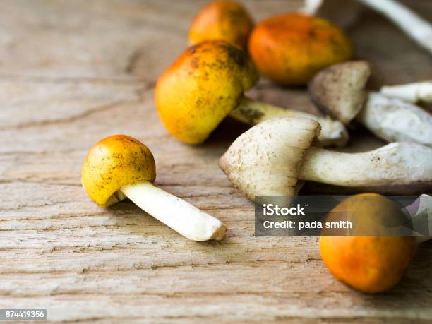 Yellow Hat Mushroom Autumn Food Stock Photo - Download Image Now - Agriculture, Asia, Autumn