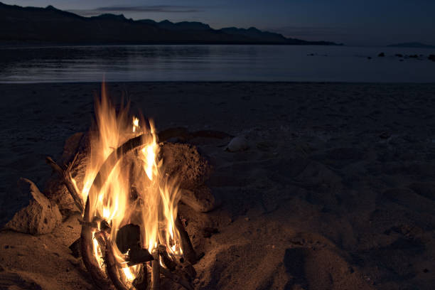 istock fire at night in the desert 874426454