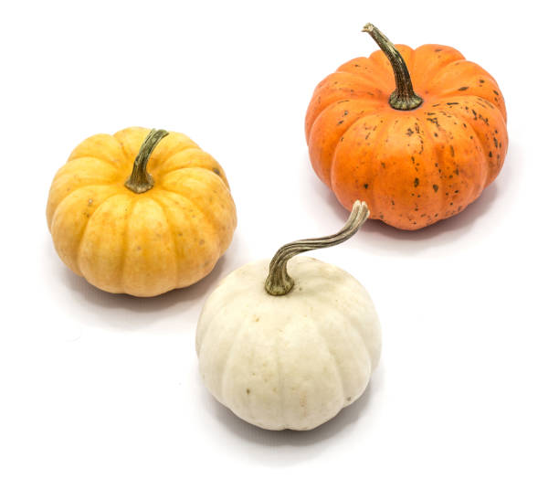 istock Mix of isolated pumpkin 874430980