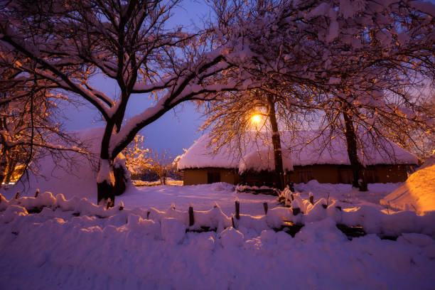 istock Winter rural landscape at night 874439172