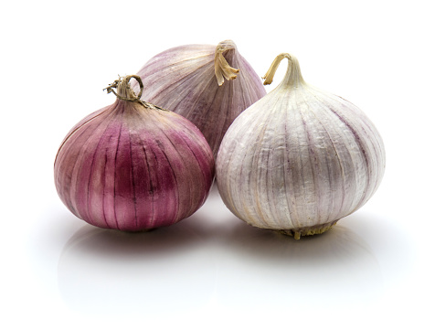 Three whole solo pearl garlic isolated on white background single clove