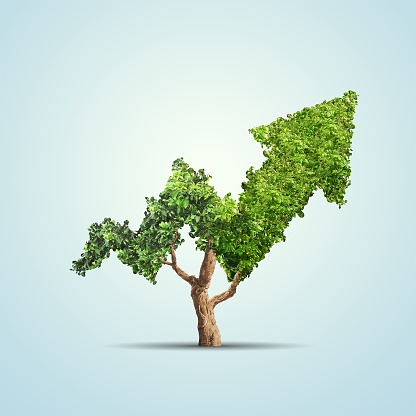 Tree grows up in arrow shape over blue background. Concept business image