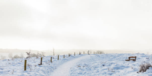 istock Winter scene with snow on the Dutch Posbank 874446826