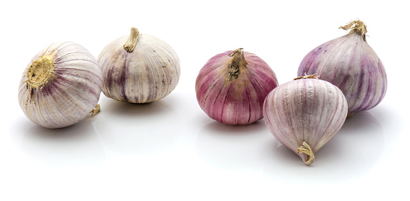 Group of solo garlic isolated on white background