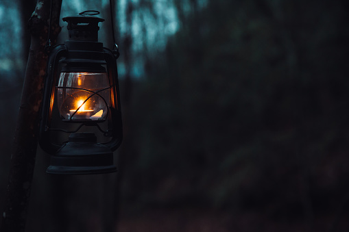 Image of a lit lantern against blurred forest background in dark tones