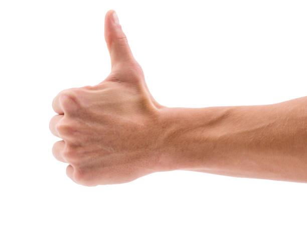 istock Hand with thumb up on white isolated background 874460566