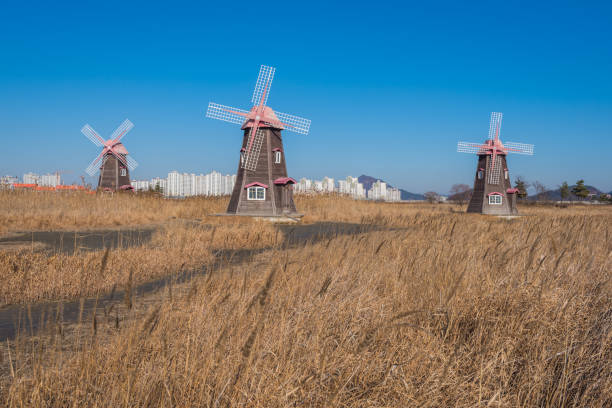 wooden windmill at Incheon Sohrae Ecological Park, South Korea