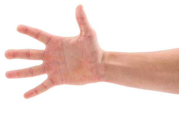 istock Palm with fingers spread out on a white isolated background 874460734