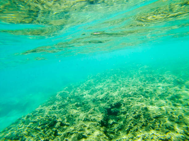 istock Bottom of clear blueSicilian sea 874477644