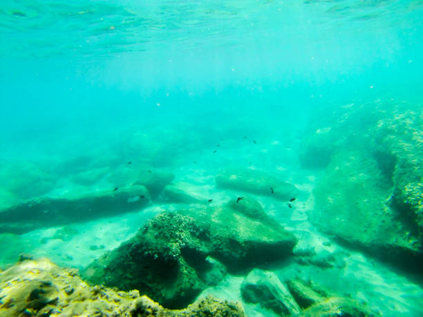 istock Bottom of clear blueSicilian sea 874477672
