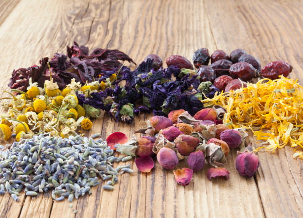 herbal tea flowers on wooden background - herb chamomile flower arrangement flower imagens e fotografias de stock