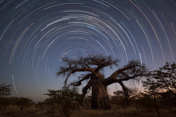 istock Startrails at Kukonje Island 874492630