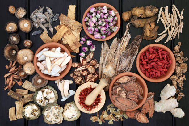 chinese herb selection - chinese medicine medicine ancient herbal medicine imagens e fotografias de stock