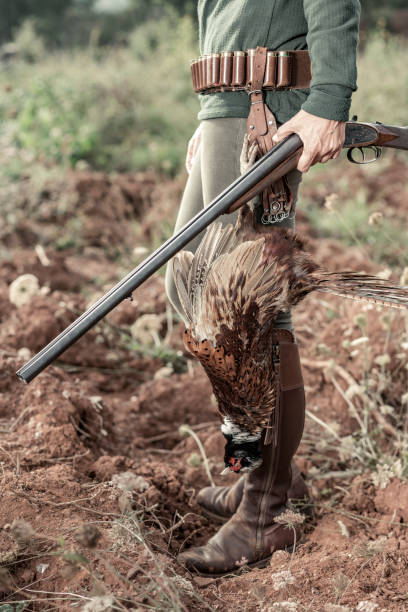 キジと鳥ハンター - pheasant hunter ストックフォトと画像