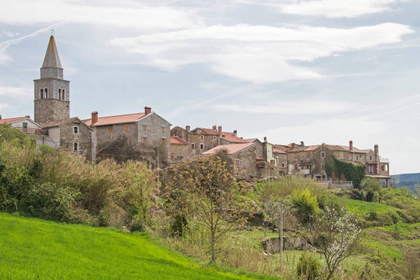 istock Kostanjica  in Istria 874498134