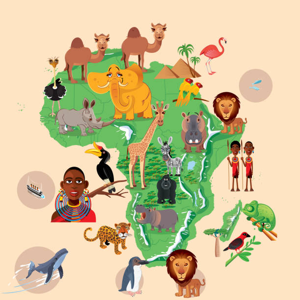 afrika tiere karte - doppelhornvogel stock-grafiken, -clipart, -cartoons und -symbole