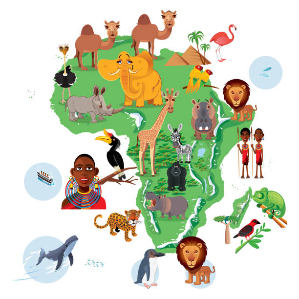 afrika tiere karte - doppelhornvogel stock-grafiken, -clipart, -cartoons und -symbole