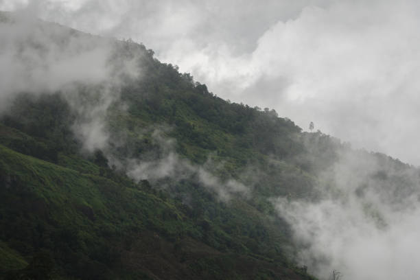 istock Foggy and mountain in the morning. 874505682