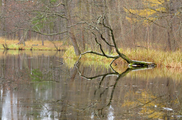 istock The natural landscape in autumn. 874507952