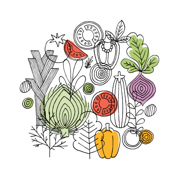 ilustrações de stock, clip art, desenhos animados e ícones de vegetables round composition. linear graphic. vegetables background. scandinavian style. healthy food. vector illustration - comida ilustrações