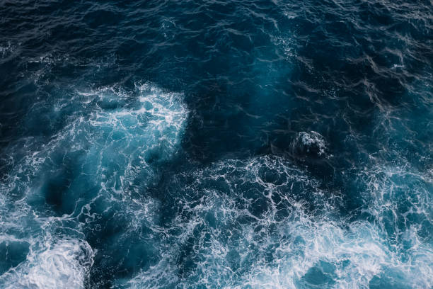 istock Aerial view to ocean waves and rock coast 874509316