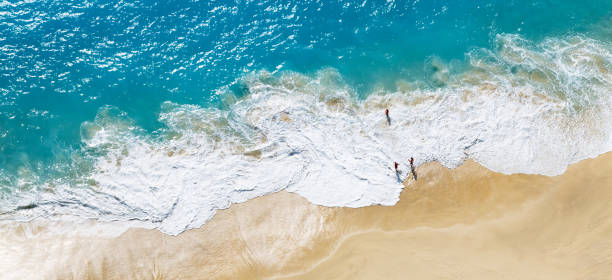 istock Aerial view to tropical sandy beach and blue ocean 874514424