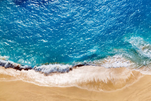 istock Aerial view to tropical sandy beach and blue ocean 874514558