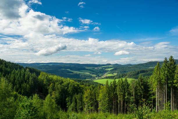 large panoramique vue sur le paysage de la forêt-noire avec ciel bleu et le petit village de loin - black forest forest sky blue photos et images de collection