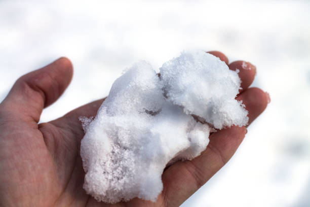istock Man hand is holding snow. White background 874516330