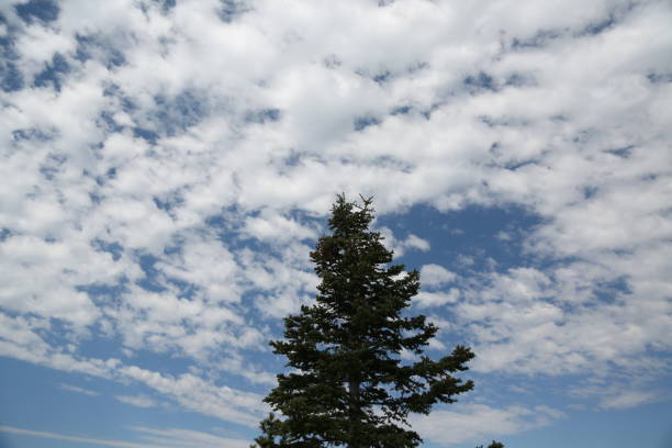 istock Blue sky with lots of cloud 874522040