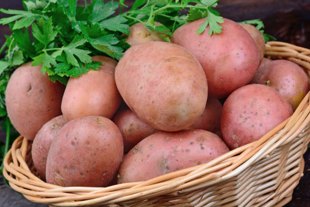istock Red potatoes with parsley in a basket 874523222