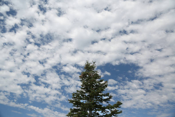 istock blue sky with lots of clouds 874533410