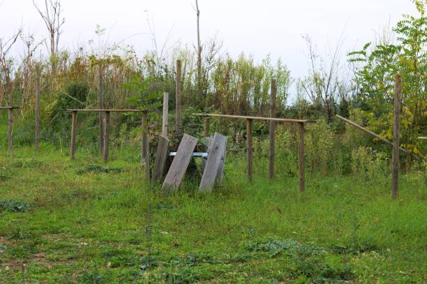istock Wood tables at the park (Pesaro, Italy) 874538138