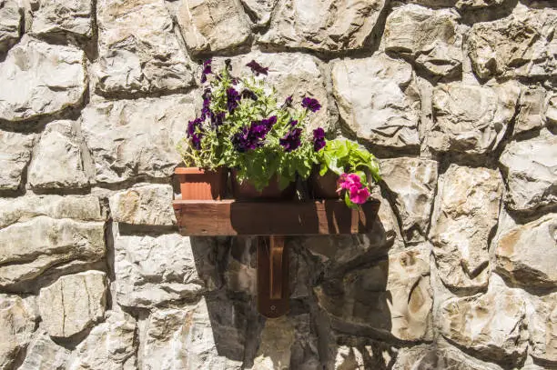 Wooden Wall shelf with vases of flowers, lighted up by the sun, hitched to the wall of the house, built of large stones