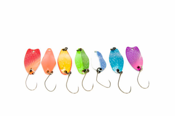 rainbow with ultralite spoons for trout fishing (area fishing) and other fish. colored hard lures are arranged in a row on a uniform white background top view - rainbow trout imagens e fotografias de stock
